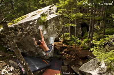 Keule in "Blindfisch"